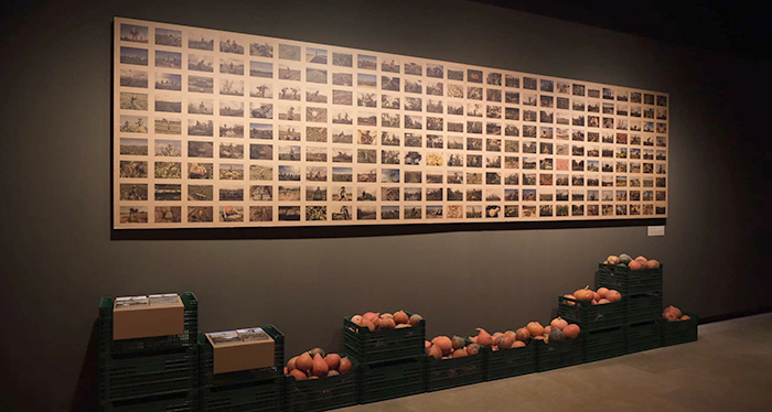 La Fundació Espigoladors duu al Palau Robert l’exposició “Espigolar per transformar”